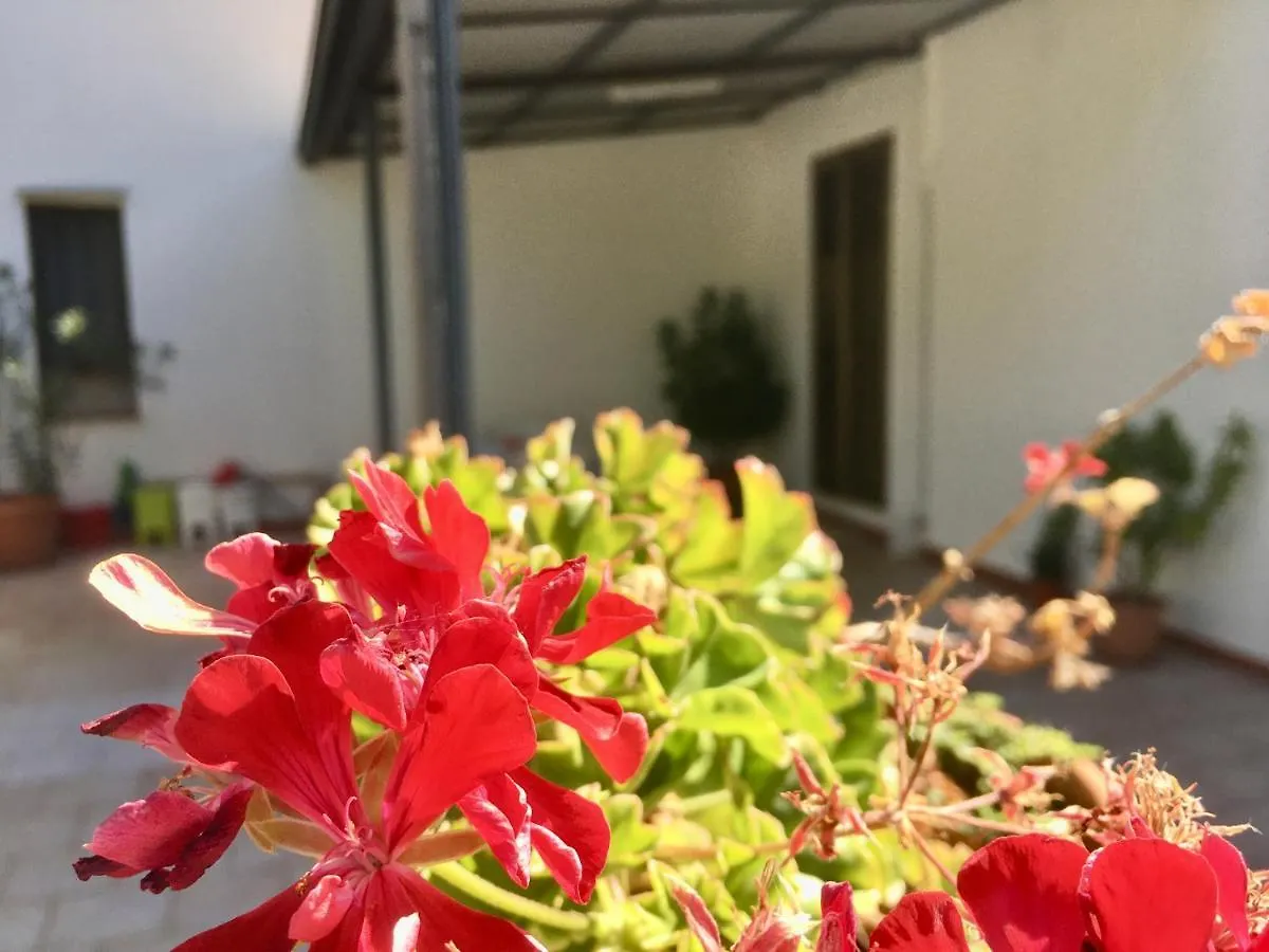 Appartamento I Tramonti Di Cofano Castelluzzo