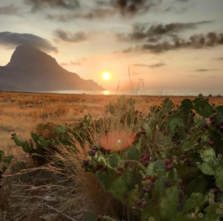 Appartamento I Tramonti Di Cofano
